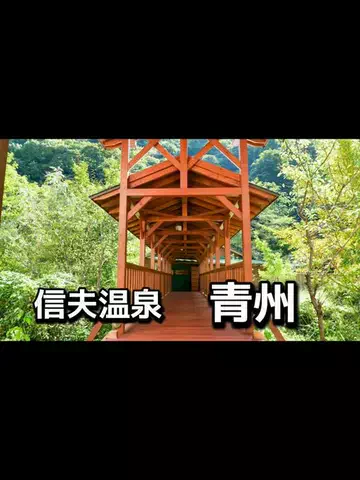 パックのTikTok投稿