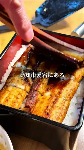 LSC放送局|高知 ローカルLife🌿のTikTok投稿
