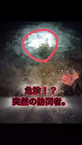 こんちゃん🦑🎩のTikTok投稿
