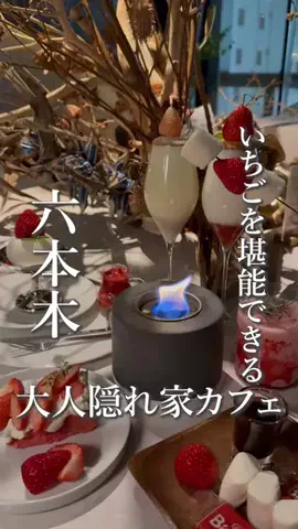 極みグルメ｜東京発のTikTok投稿