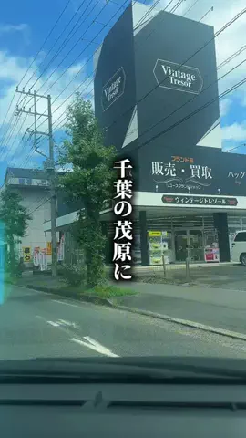 HAMONI TRIPのTikTok投稿