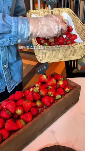 あかねちゃんねる⋆東京おしゃれグルメ⋆のTikTok投稿