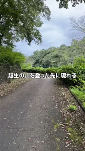 埼玉グルメ／SAITAMA SELECTのTikTok投稿