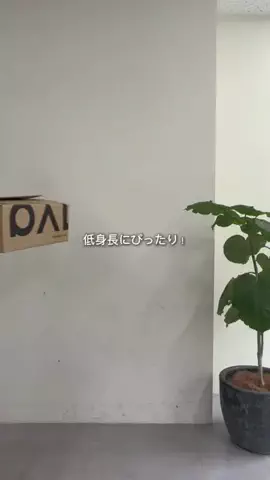 ayummi_148のTikTok投稿