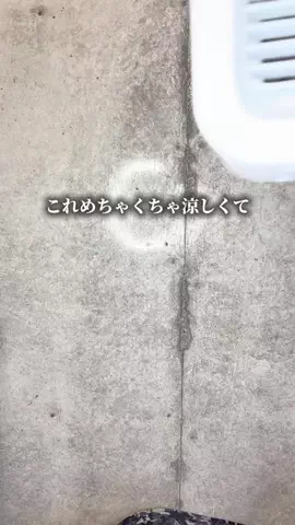 マイキー　| 爆食トレーナーのTikTok投稿