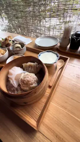 温泉ちゃんのTikTok投稿