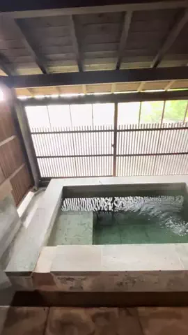 温泉ちゃんのTikTok投稿
