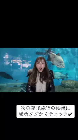 入澤優（ざわゆー）【公式】のTikTok投稿
