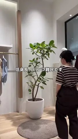 せんすい｜145cm アラフォーのTikTok投稿