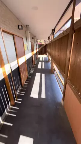 温泉ちゃんのTikTok投稿