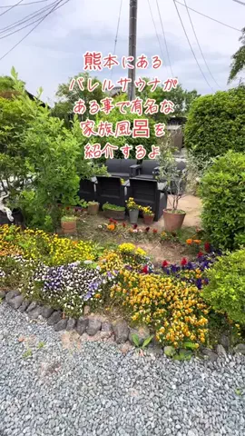温泉ちゃんのTikTok投稿