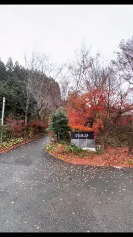 温泉ちゃんのTikTok投稿
