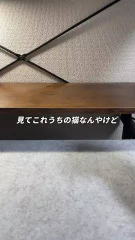 ツカ | 博多弁で学ぶiPhone便利術のTikTok投稿