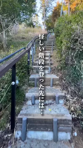 旅んちゅLife✈︎大切な人と最高な宿へのTikTok投稿