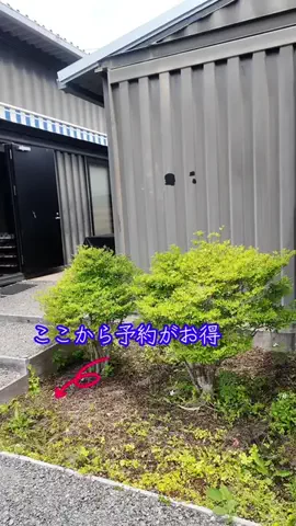 LittleBamboo.stのTikTok投稿