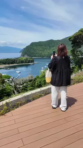 LittleBamboo.stのTikTok投稿