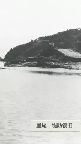 多分こんな感じドラマのTikTok投稿