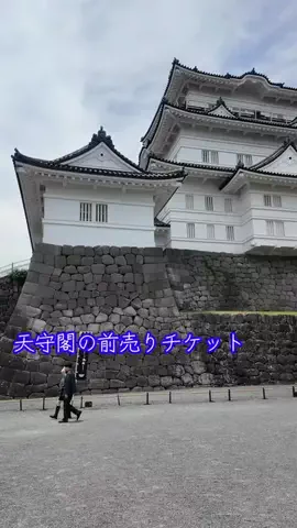 LittleBamboo.stのTikTok投稿