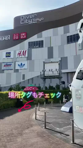 LittleBamboo.stのTikTok投稿