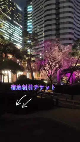 LittleBamboo.stのTikTok投稿