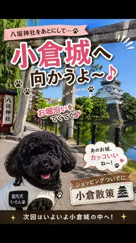 ritsu🐶💚🐎のTikTok投稿