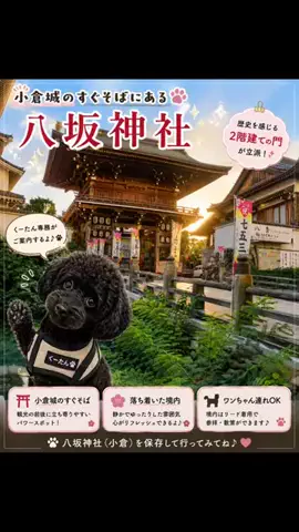 ritsu🐶💚🐎のTikTok投稿