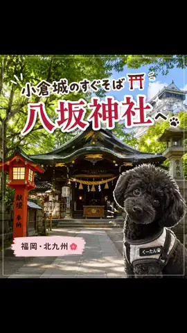 ritsu🐶💚🐎のTikTok投稿