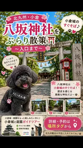 ritsu🐶💚🐎のTikTok投稿