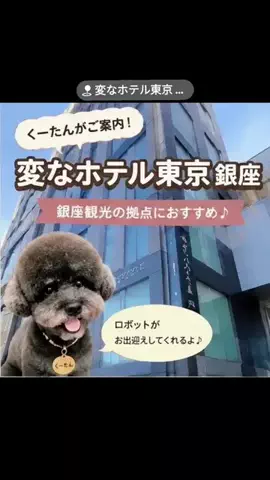 ritsu🐶💚🐎のTikTok投稿