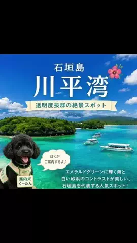 ritsu🐶💚🐎のTikTok投稿