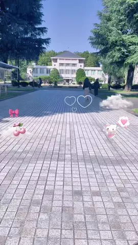 女子大生ぬえのTikTok投稿