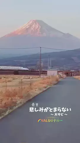 🌈NALU☺︎ナルーのTikTok投稿