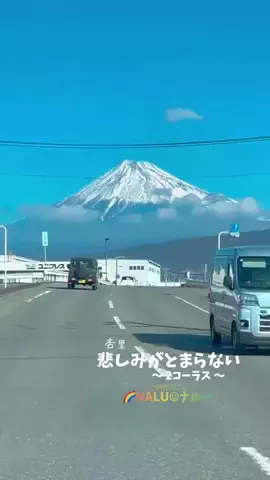 🌈NALU☺︎ナルーのTikTok投稿