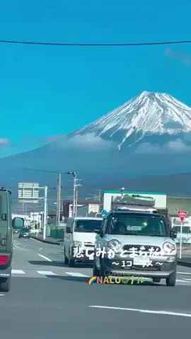 🌈NALU☺︎ナルーのTikTok投稿
