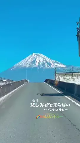 🌈NALU☺︎ナルーのTikTok投稿