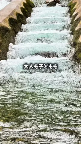 まん吉🌿埼玉おでかけ攻略のTikTok投稿