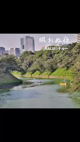🌈NALU☺︎ナルーのTikTok投稿