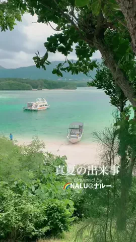 🌈NALU☺︎ナルーのTikTok投稿