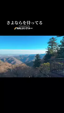 🌈NALU☺︎ナルーのTikTok投稿