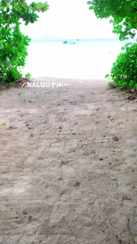 🌈NALU☺︎ナルーのTikTok投稿