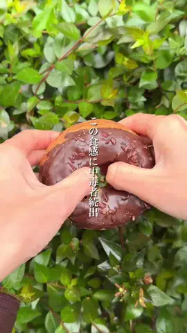 まんぷくグルメ（大阪グルメ・関西グルメ）のTikTok投稿
