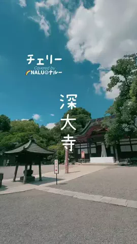 🌈NALU☺︎ナルーのTikTok投稿