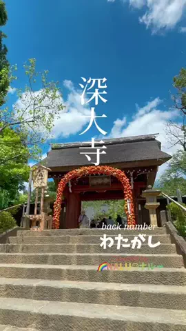 🌈NALU☺︎ナルーのTikTok投稿