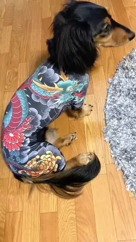 あんころ🐾うぶのTikTok投稿