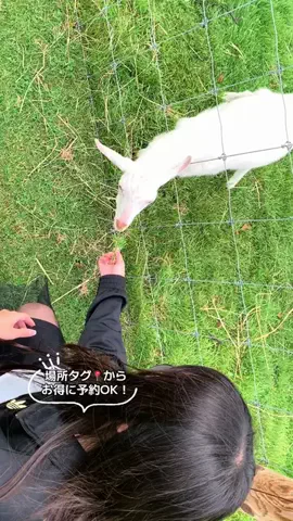 ASUKA_旅のガイドブックのTikTok投稿