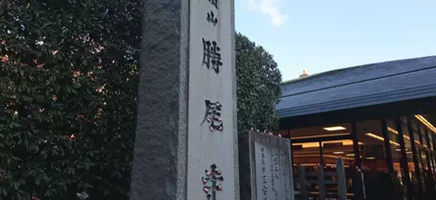 おでかけ情報！のTikTok投稿