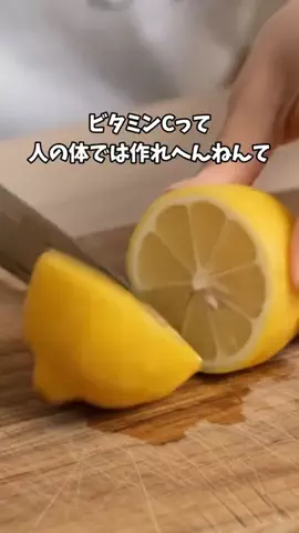 ちゃちゃ丸⌇暮らしを楽しむのTikTok投稿