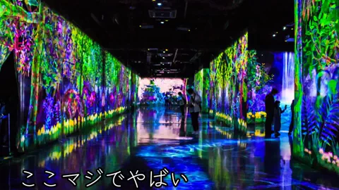 おでかけ情報！のTikTok投稿