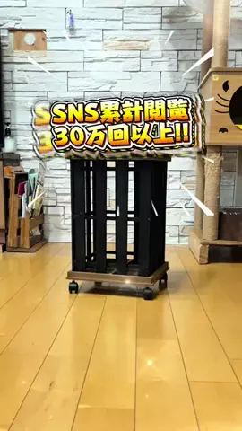 ちゃちゃ丸⌇暮らしを楽しむのTikTok投稿