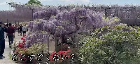 おでかけ情報！のTikTok投稿